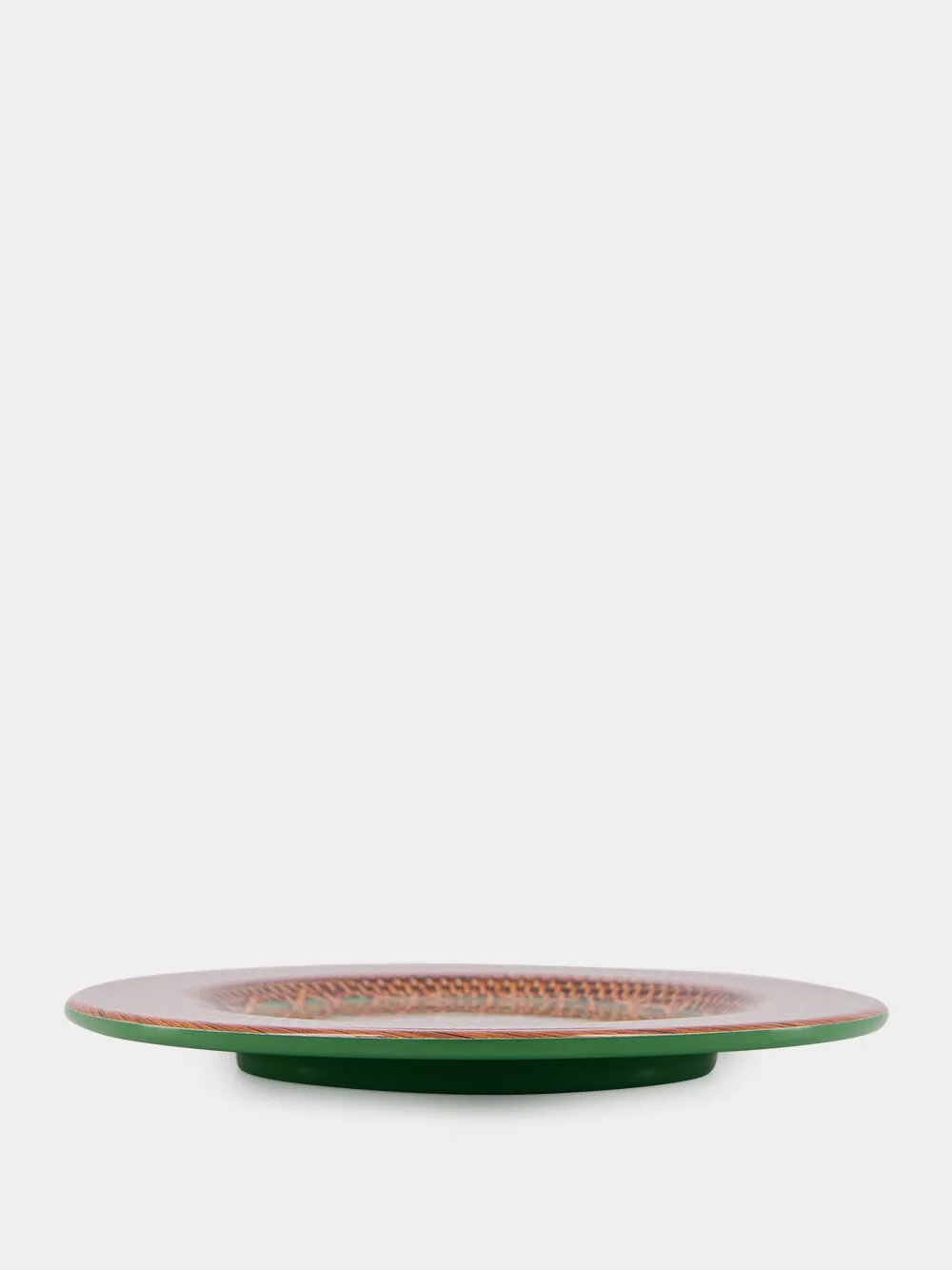 Patagonia Green Dinner Plate